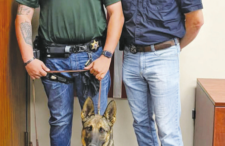 Deputy Joey Carrithers, Deputy Ruby Gene, and Sheriff Josh McAllister.