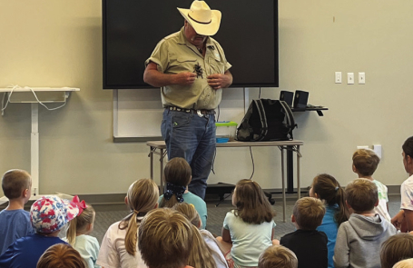Summer Fun at Winn Parish Libraries: From Reptiles to Rabbits