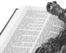 Article Image Alt Text