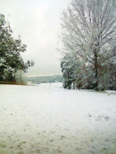 Winn awakens to winter wonder land