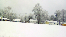 Winn awakens to winter wonder land