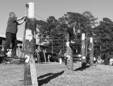 The 2023 Forest Festival in Pictures