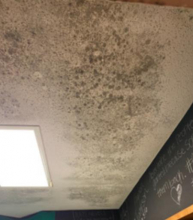 Winnfield Middle School open to all students after mold from Hurricane Laura