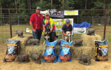 Youth Bay Hog Dog Winners