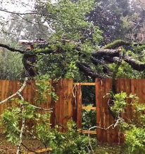 Laura Slams Winn Parish
