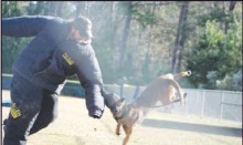 D.A.R.E. K-9 Demonstrations Across Winn Parish