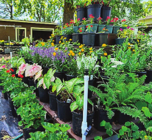Budding business battles the elements to have Grand Opening