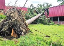 Laura Slams Winn Parish