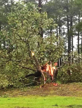 Laura Slams Winn Parish