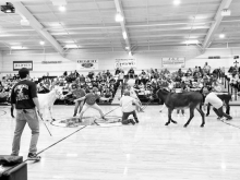 Donkey Basketball brought together families from Dodson and the surrounding areas for a night of entertainment where the donkeys clearly held the home-court advantage. Laughter echoed through the Dodson High School gym on February 7th as riders faced off 
