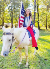Sikes Wolf Creek Festival a success