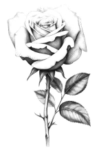 In Loving Memory