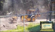 Article Image Alt Text