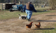 The Farm Wife