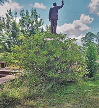 The state of the Earl K. Long Memorial Park