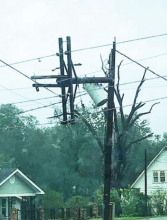 Laura Slams Winn Parish