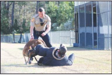 D.A.R.E. K-9 Demonstrations Across Winn Parish