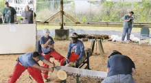 48th Annual Louisiana Forest Festival