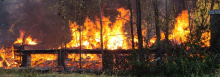 Winnfield begins new controlled burning initiative