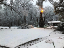 Winn awakens to winter wonder land