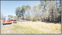 WPFD Responds to Brush