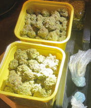 WPSO Makes Narcotics Arrest