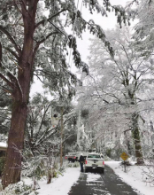 Winn awakens to winter wonder land