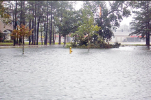 Winn Parish pulls together after Hurricane Laura wreaks havoc