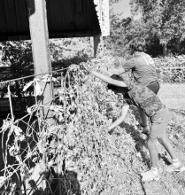 Members of local 4-H and FFA chapters, alongside agricultural teachers, parents, and community volunteers, recently completed a cleanup effort at the fairgrounds to prepare the facilities for upcoming events.