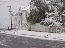 Winn awakens to winter wonder land
