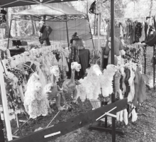 Sikes Wolf Creek Festival a success