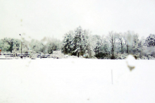 Winn awakens to winter wonder land