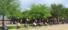 Article Image Alt Text