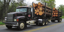 Louisiana passes Logger Relief Bill