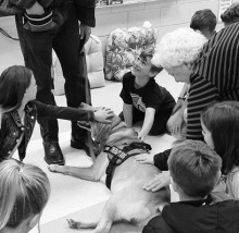Therapy Dog Stops by Dodson High School 