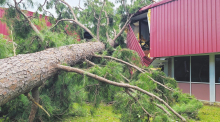 WPSB Declares State of Emergency