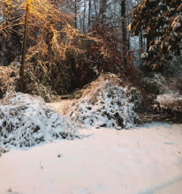 Winn awakens to winter wonder land