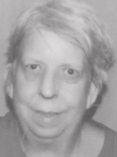 Carol Ann Harkins