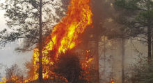 Risk of Wildfires Lead to Burn Ban for Winn Parish