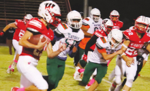 Tigers record first shutout of year