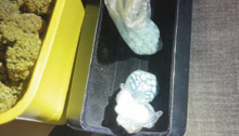 WPSO Makes Narcotics Arrest