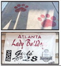 Once a Bulldog, Always a Bulldog