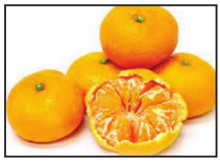 DSWC Hosts Annual Tree and Shrub Sale