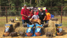 Youth Bay Hog Dog Winners