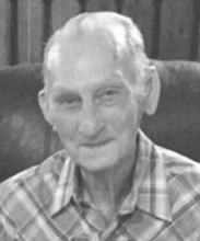 David Watson Shelton