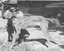 Article Image Alt Text