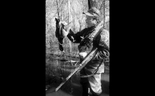 Article Image Alt Text