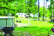 Article Image Alt Text