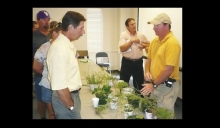Article Image Alt Text