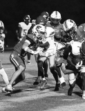 Winnfield Tigers securing